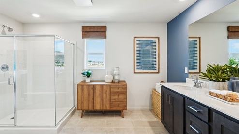 Primary bathroom with walk-in shower