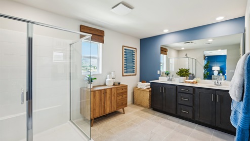 Primary bathroom with walk-in shower