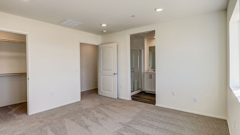 Primary bedroom with walk-in closet, and plush carpet