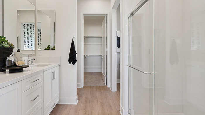 Interior bathroom with shower, sink and walk-in closet