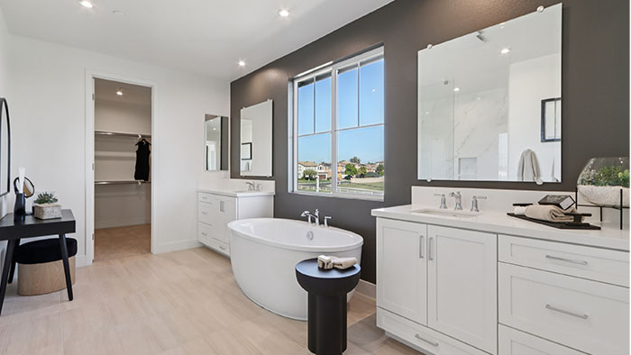 Interior bathroom with sink, bath tub and walk-in closet