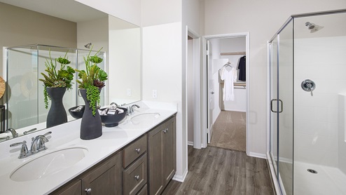 Primary bathroom with walk-in closet and double sinks