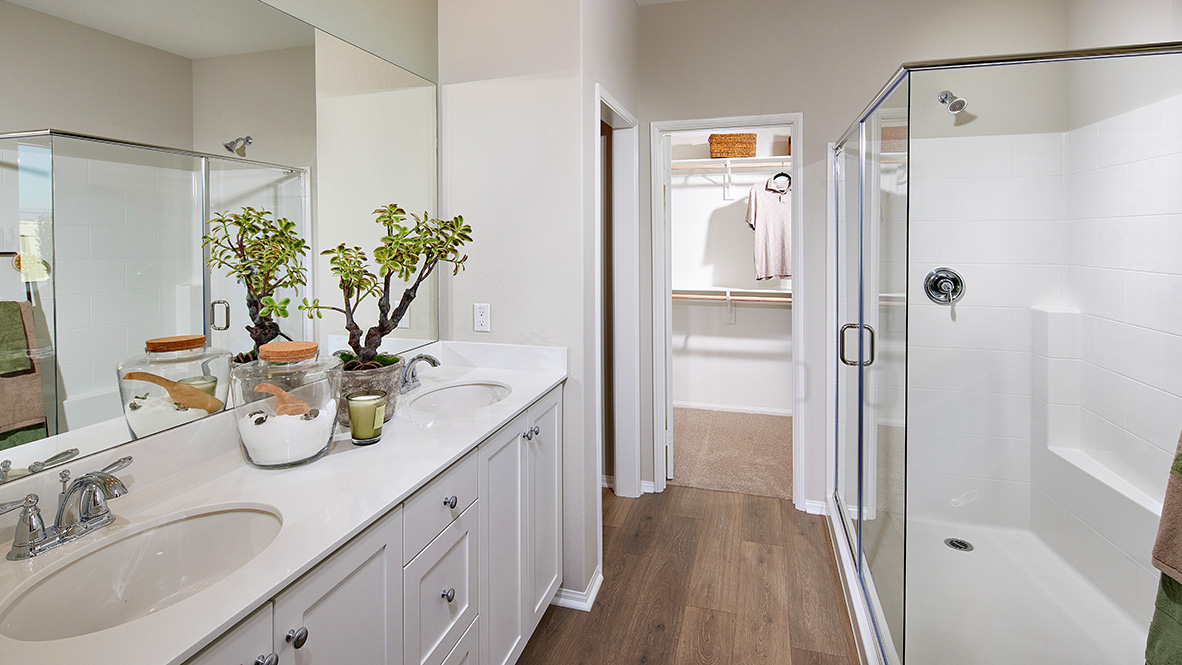 Primary bathroom with walk-in closet and double sinks