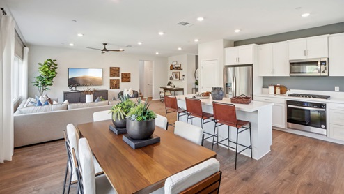 Open concept living, dining, and kitchen with windows looking into spacious backyard