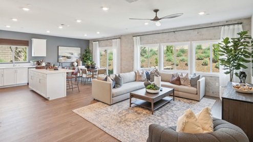 Open concept living, dining, and kitchen with windows looking into spacious backyard