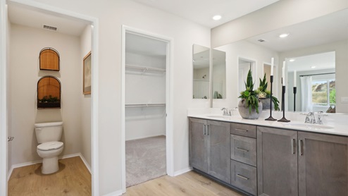 Primary bathroom with spacious walk-in closet