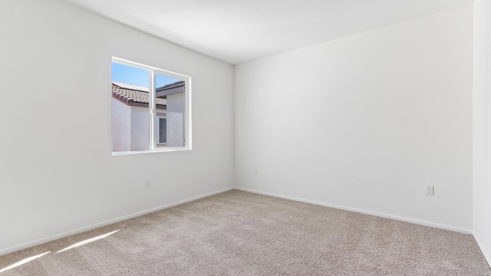 bedroom with carpet