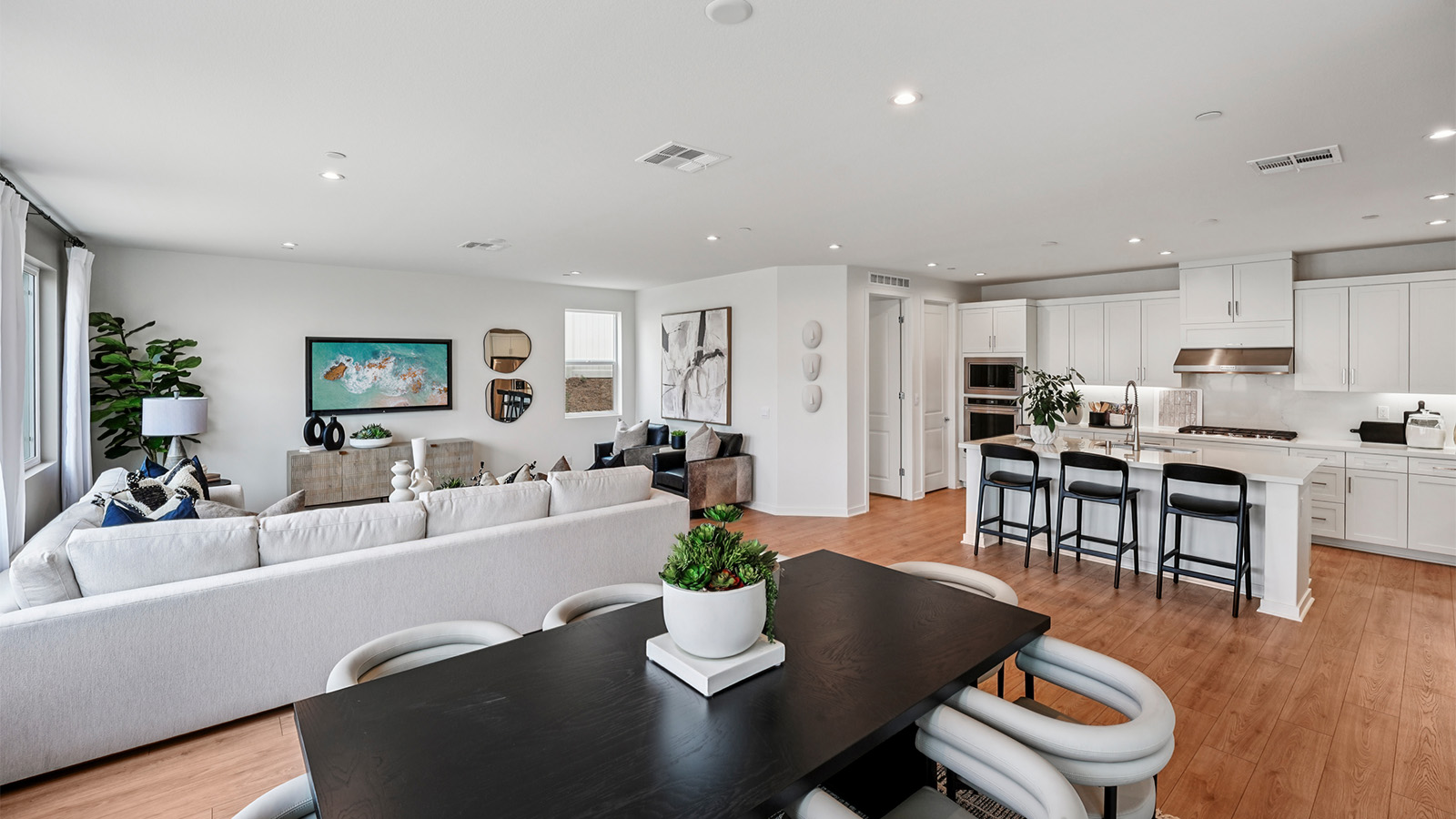 Open cocnept great room and kitchen