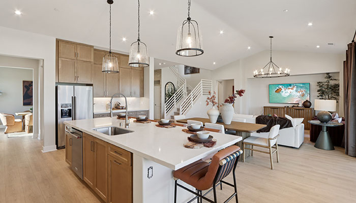 Open-concept kitchen and great room