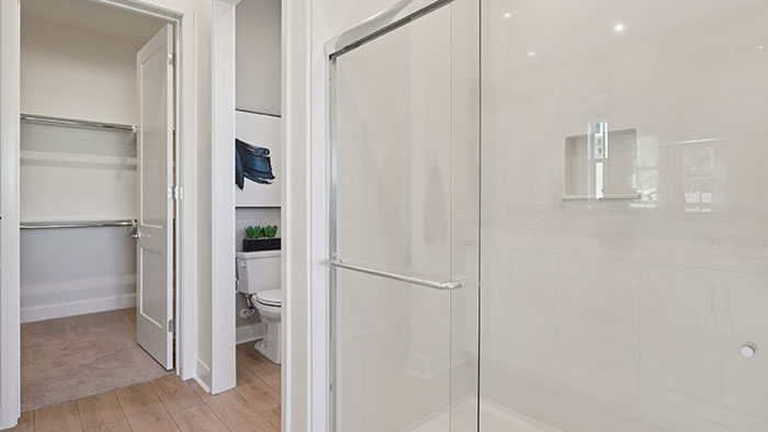 Interior bathroom with shower and walk-in closte