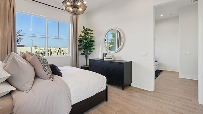 Interior bedroom with accent wall and large windows