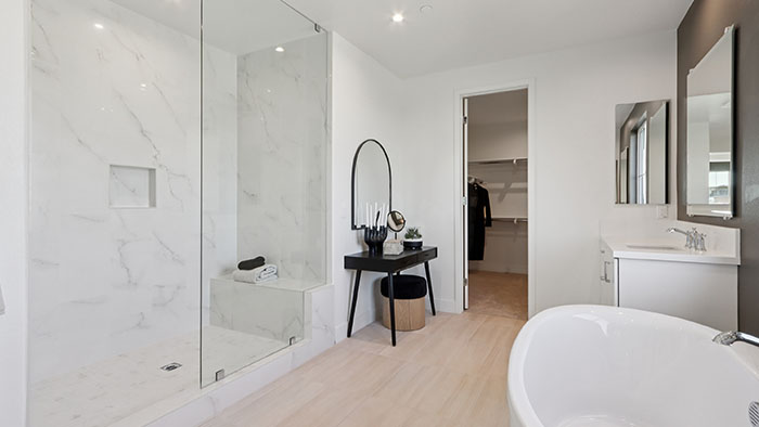 Interior bathroom with shower, walk-in closet and bath tub