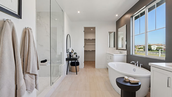 Interior bathroom with shower, bath tub and walk-in closet