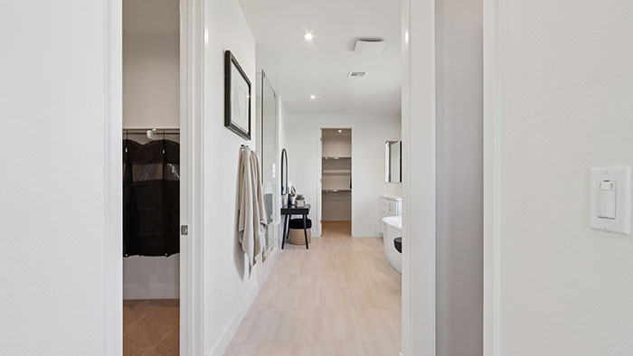 Interior primary bedroom with accent wall and large windows