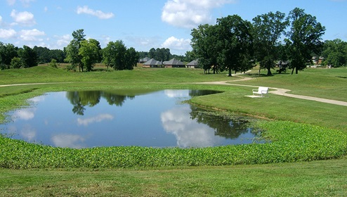 Tannerhill Preserve - Community Pond