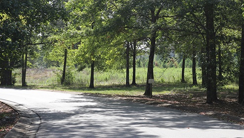 Tannerhill Preserve - Community View