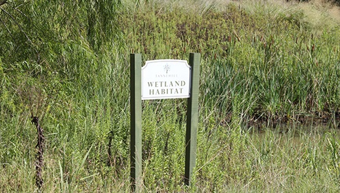 Tannerhill Preserve - Wetland Habitat