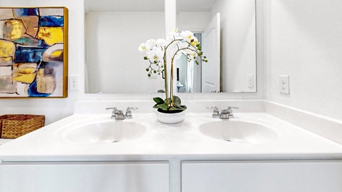 Burke – Primary Bathroom – 1 – Elegant bathroom with two sinks