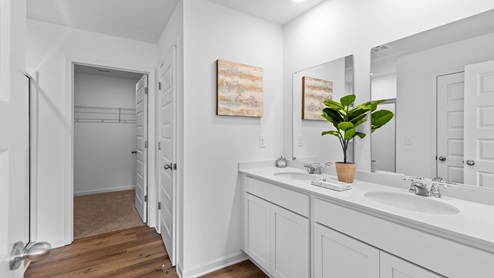 Penwell – Primary Bathroom – 1 – A bathroom with two sinks and a plant, creating a refreshing and functional space.