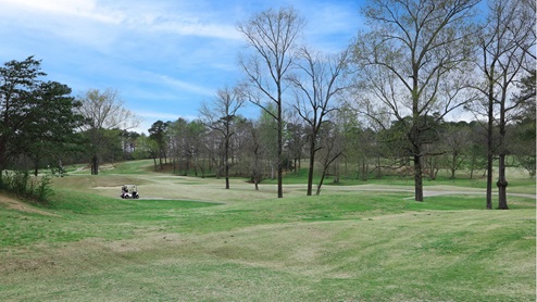 Welcome to Timberline by D.R. Horton, a golf course community in Calera, Alabama. Just off Hwy 31 and I-65, this new home community is just minutes from Alabaster’s local amenities and Downtown Birmingham. Calera offers a vibrant, historic downtown area with diverse dining, shopping, and entertainment options. Calera is home to the Heart of Dixie Railroad Museum, where families can enjoy scenic train rides and explore Alabama’s rich rail history. Go Calera High School Eagles! Timberline features some of our elegant, traditional home plans spanning from 1,618 up to 3,209 square feet, with granite countertops, elegant and durable flooring, stainless steel appliances, and our smart home technology package. Each home in Timberline is uniquely designed with modern living in mind, featuring granite countertops, elegant and durable flooring, and stainless-steel appliances. The easy-to-use Smart Home Technology Package included in every home provides the ultimate convenience, allowing you to control key features with the touch of a button. Featured conveniences include lighting automation, IQ panel, video doorbell, keyless front door entry, and temperature control from the ease of your phone.