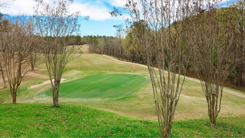 Welcome to Timberline by D.R. Horton, a golf course community in Calera, Alabama. Just off Hwy 31 and I-65, this new home community is just minutes from Alabaster’s local amenities and Downtown Birmingham. Calera offers a vibrant, historic downtown area with diverse dining, shopping, and entertainment options. Calera is home to the Heart of Dixie Railroad Museum, where families can enjoy scenic train rides and explore Alabama’s rich rail history. Go Calera High School Eagles! Timberline features some of our elegant, traditional home plans spanning from 1,618 up to 3,209 square feet, with granite countertops, elegant and durable flooring, stainless steel appliances, and our smart home technology package. Each home in Timberline is uniquely designed with modern living in mind, featuring granite countertops, elegant and durable flooring, and stainless-steel appliances. The easy-to-use Smart Home Technology Package included in every home provides the ultimate convenience, allowing you to control key features with the touch of a button. Featured conveniences include lighting automation, IQ panel, video doorbell, keyless front door entry, and temperature control from the ease of your phone.