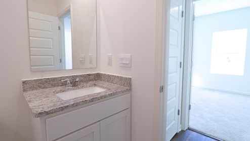 The downstairs bathroom has modern finishes and a tub shower combo.