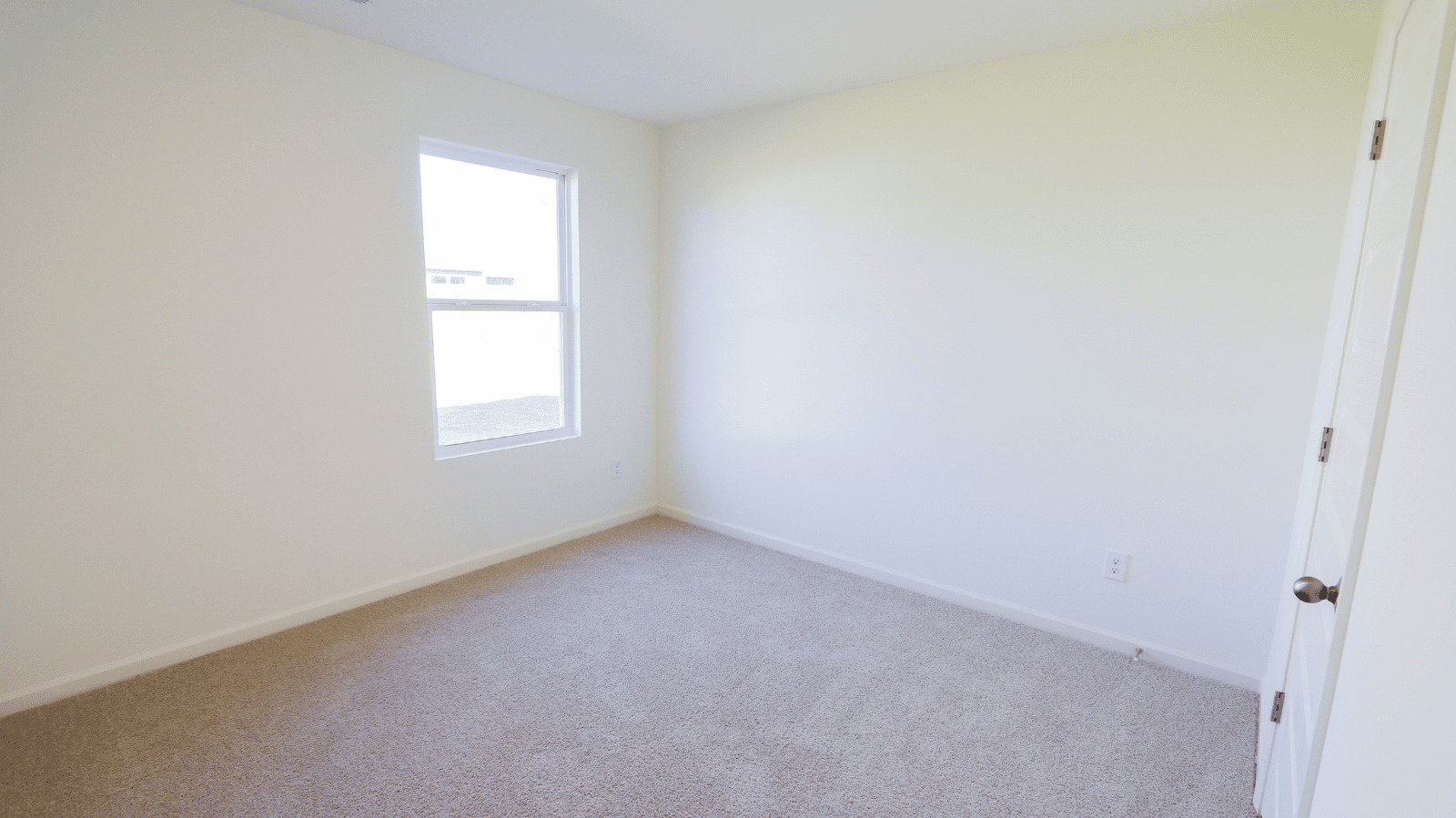 Bright, empty room with beige carpet, a large window allowing natural light, and a closed door on the right.
