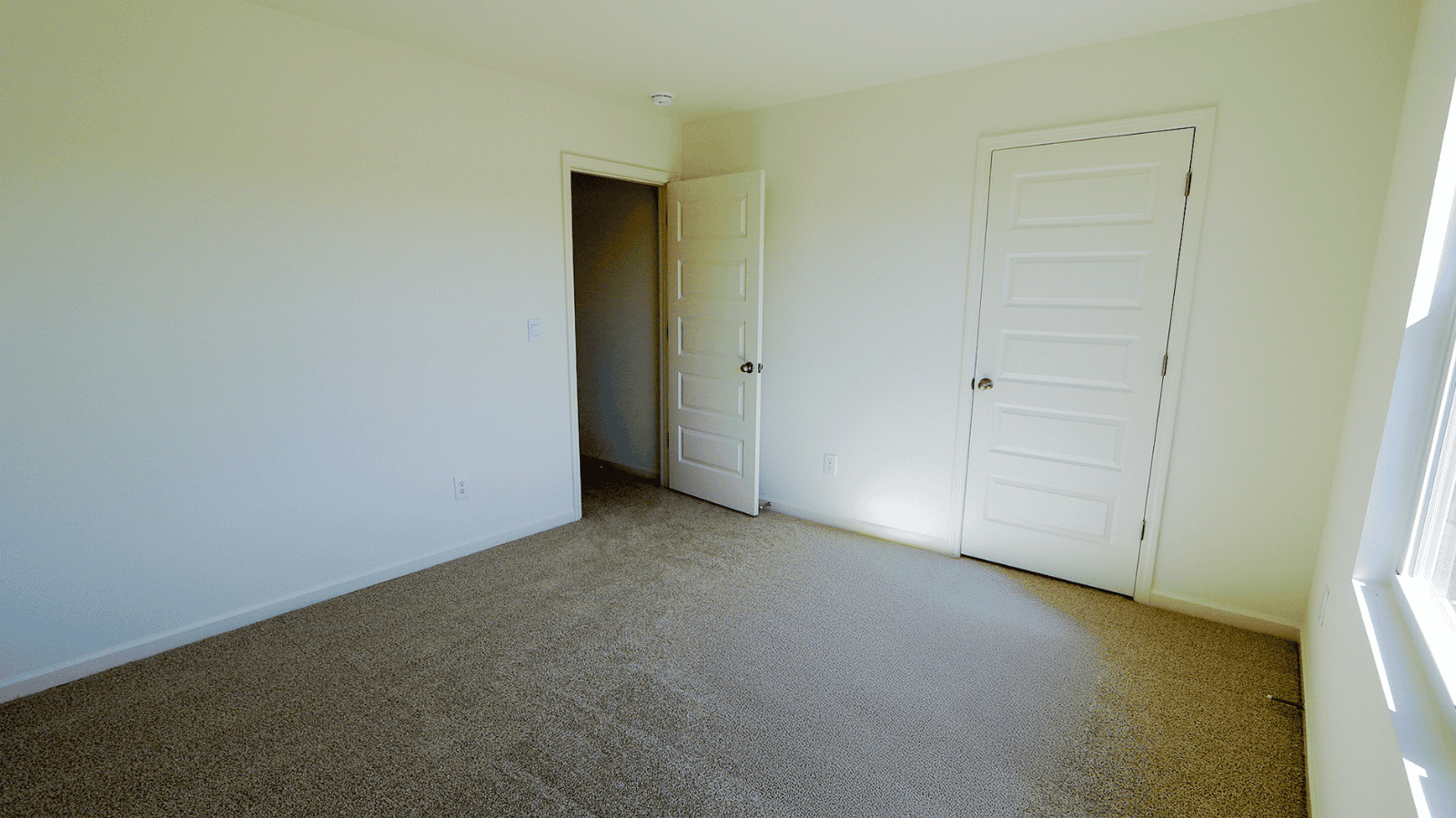 Bright, empty room with beige carpet and two white doors leading to adjacent spaces. Ideal for personalization.