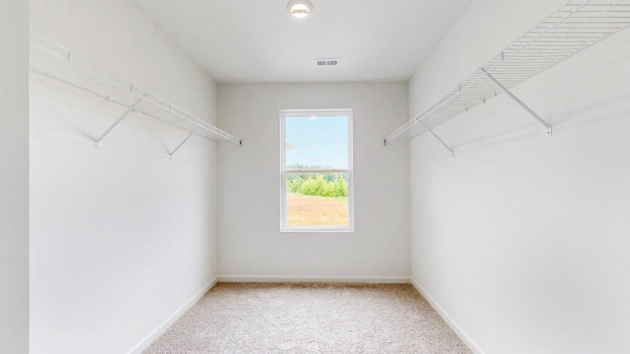 Elston – Primary closet – large primary walk in closet with a window