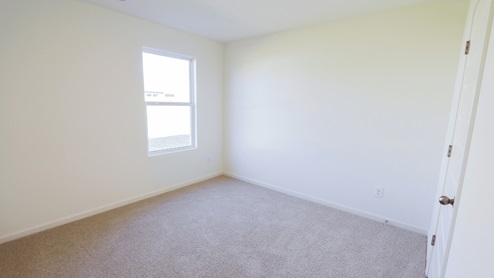 Bright, empty room with beige carpet, a large window allowing natural light, and a closed door on the right.