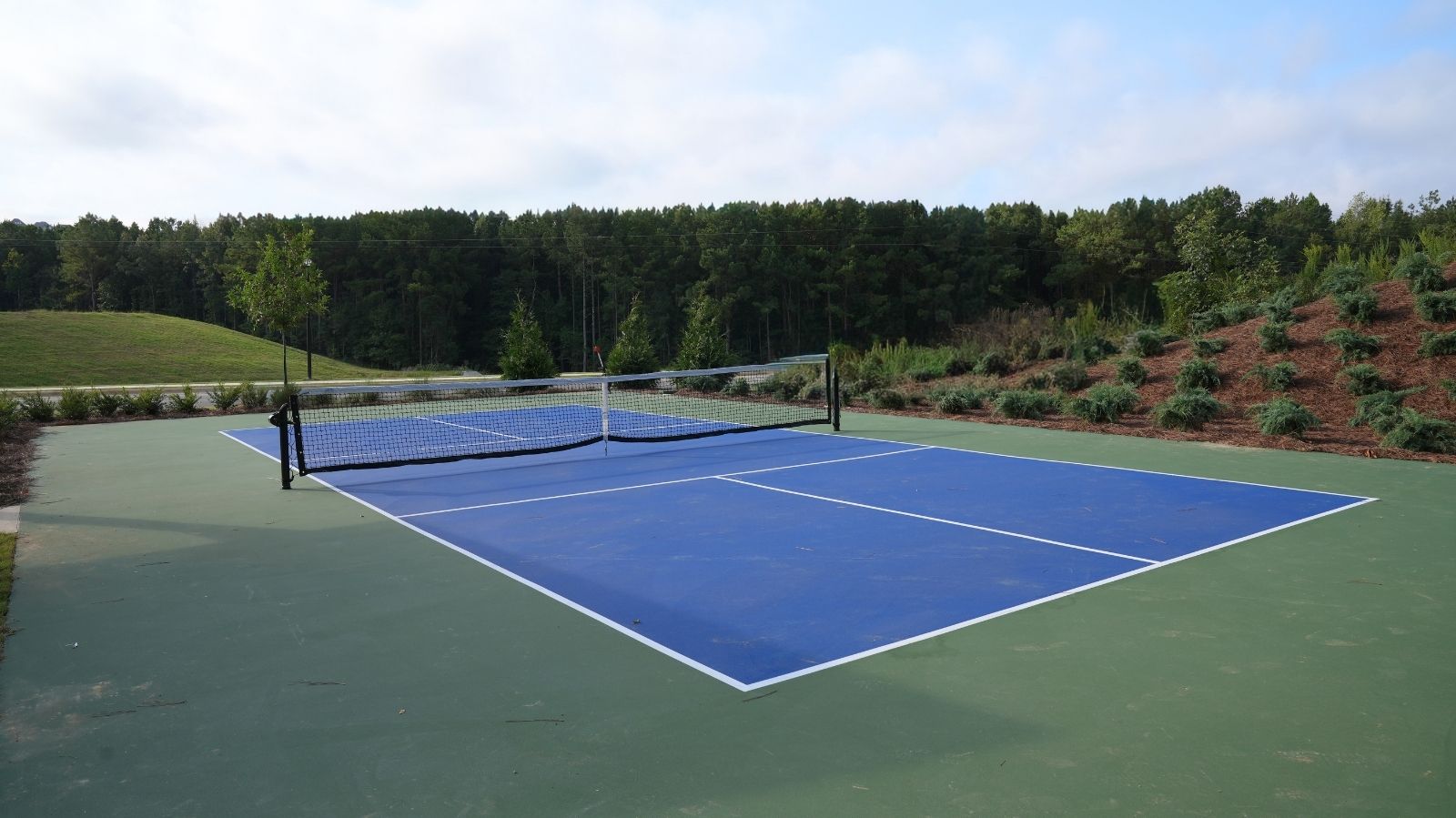 Community pickleball court