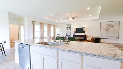 Destin – Living Room – 1 – the open concept living room, formal dining room, kitchen and breakfast nook are shown with the trey ceilings