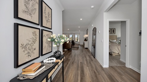 Foyer of the home with access to living area