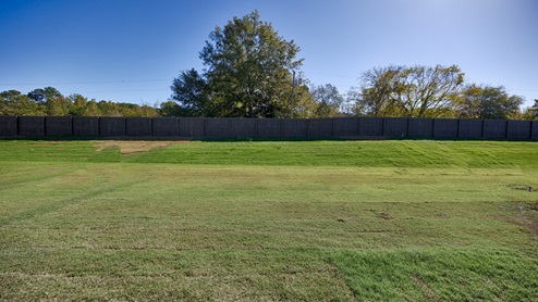 view of back yard from the back porch