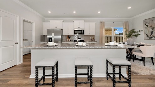 Kitchen island with view of dining / living room area
