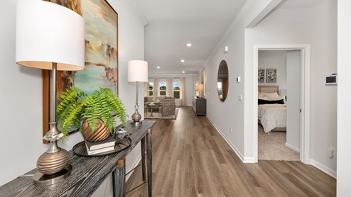 Foyer of the home with access to living area