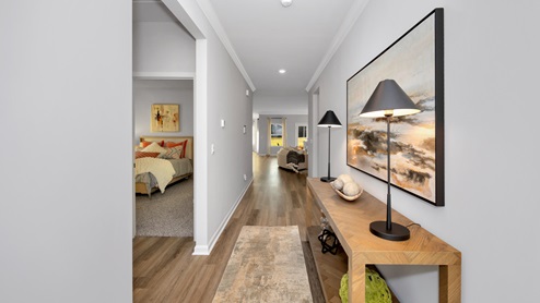 Foyer of the home with access to living area