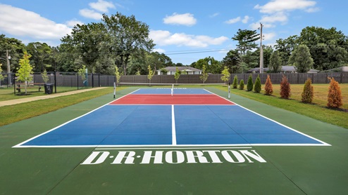 Wiffleball court amenity