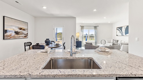 Kitchen sink with granite surround and stainless steel appliances