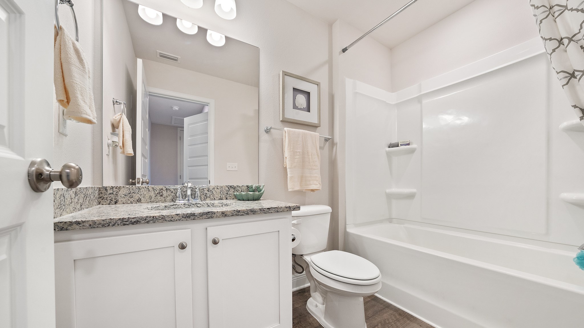 Guest Full Hallway Bathroom