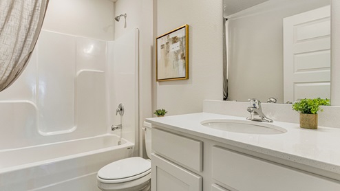 guest bathroom