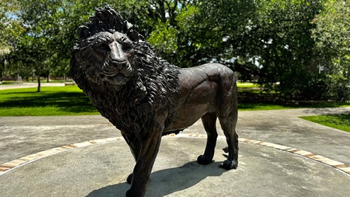 southeastern lion