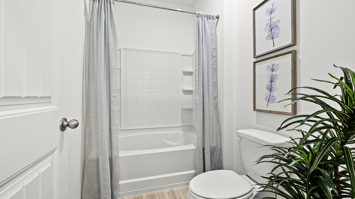 shower tub combo and toilet