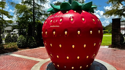 berry statue in ponchatoula