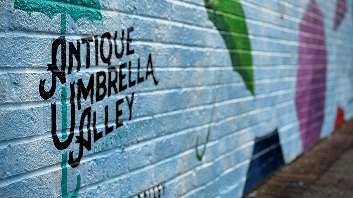 Umbrella alley