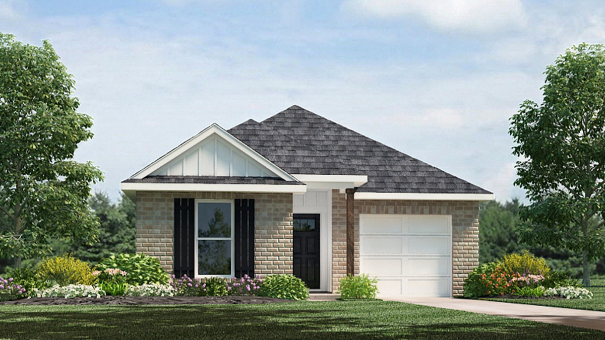 Birch elevation C24 rendering