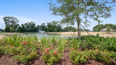 Community pond