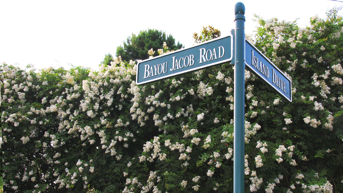 Bayou and Island Drive Sign