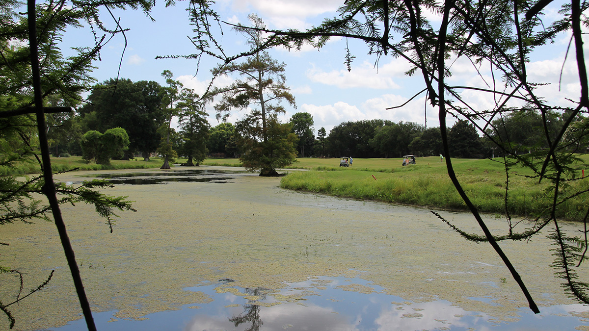 Pond with golf course in the background