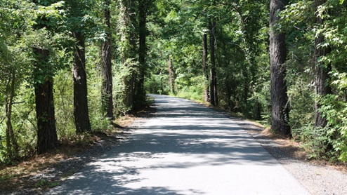 tammany trace trail